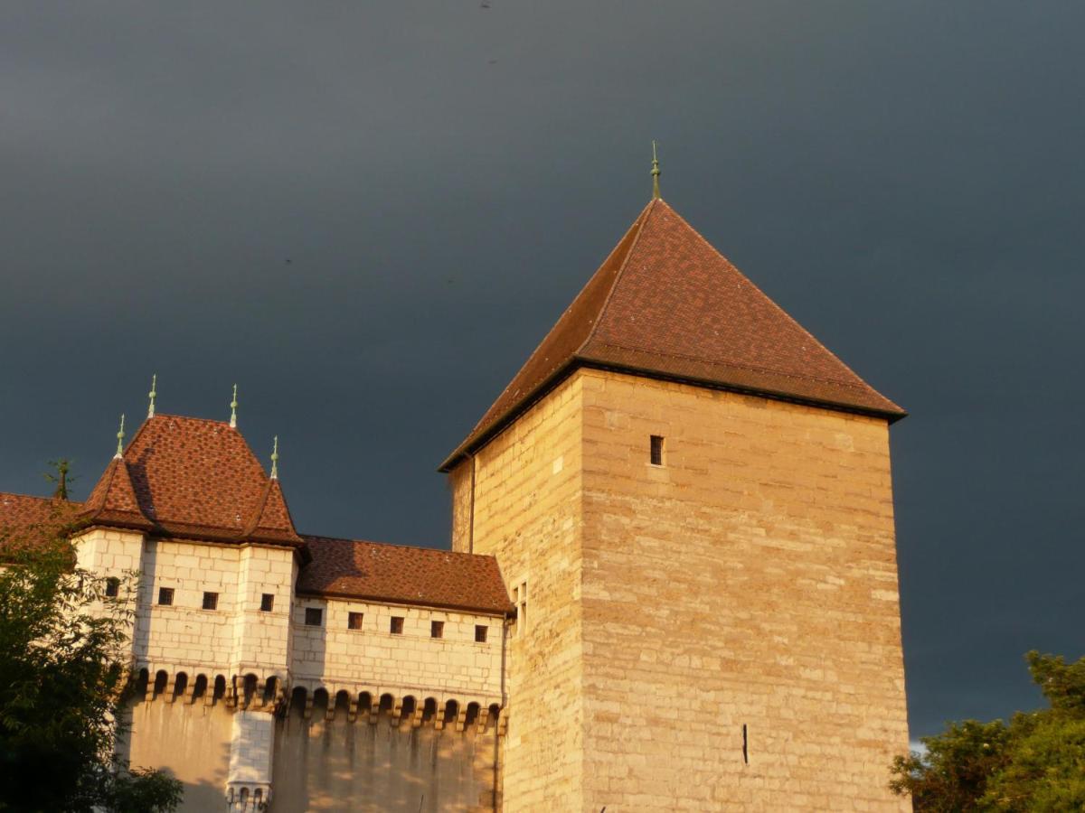 Appartement Dans La Vieille Ville, En Face Du Chateau Annecy Ngoại thất bức ảnh