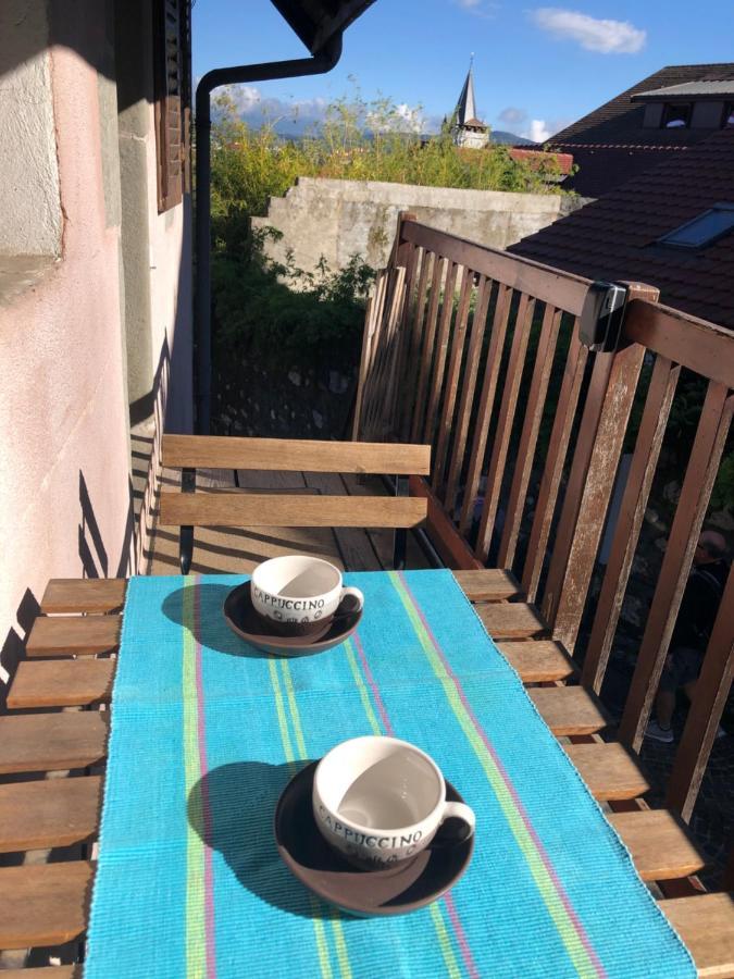 Appartement Dans La Vieille Ville, En Face Du Chateau Annecy Ngoại thất bức ảnh